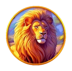 Lion
Safari